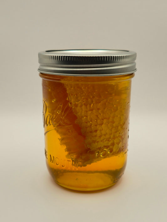 1.25lb Spring Honey with Comb