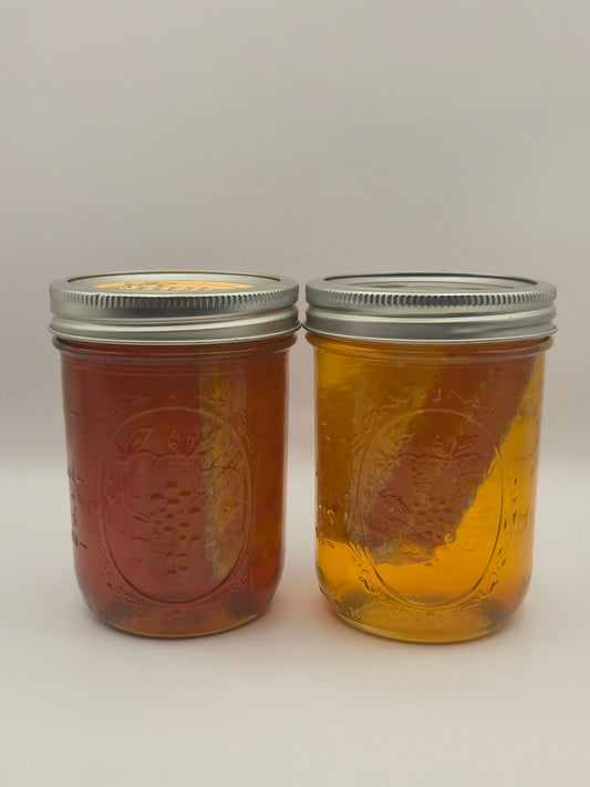 1.25lb Comb Honey Combo
