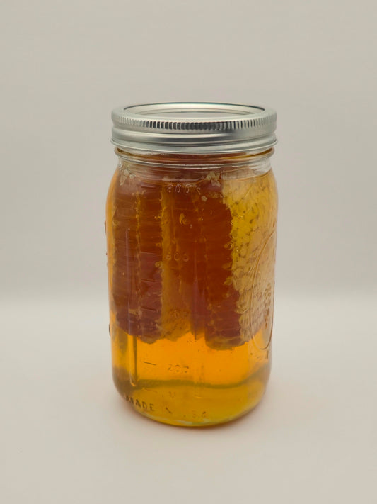 2.5lb Spring Honey with Comb